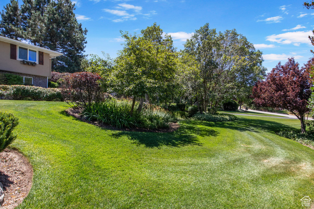 View of green lawn