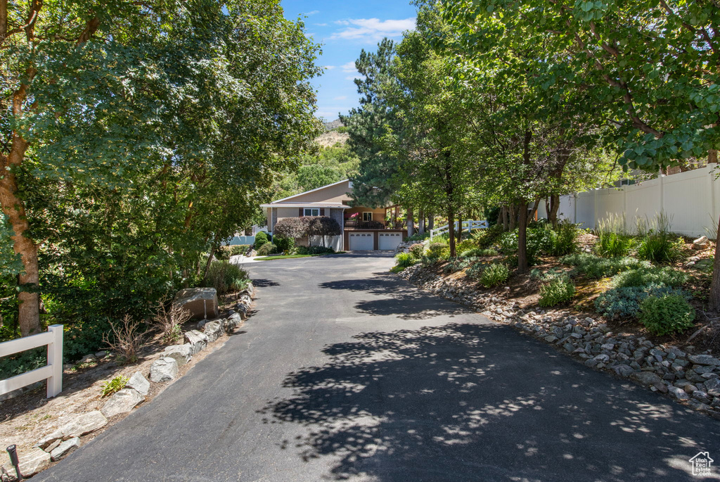 View of asphalt driveway