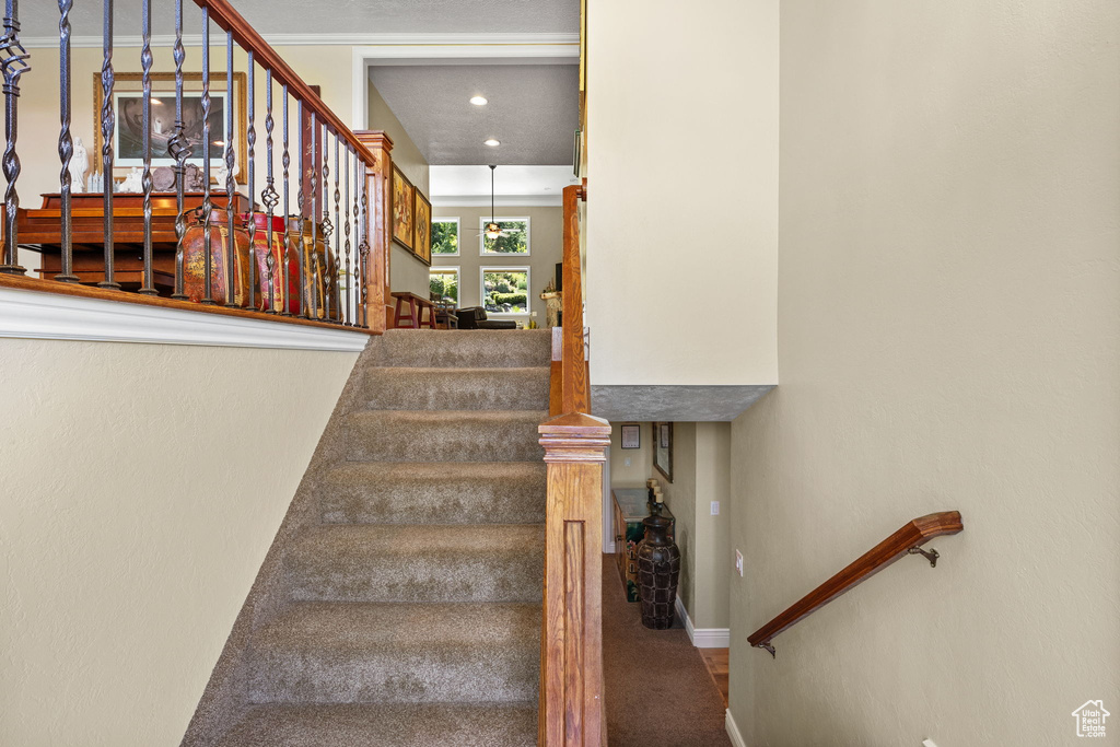 Stairway with carpet flooring and baseboards