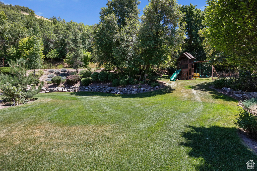 View of grassy yard with a playground