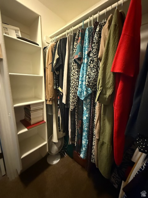 Spacious closet featuring carpet