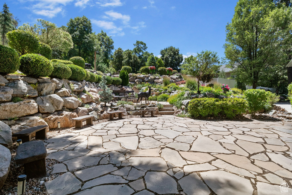 View of patio