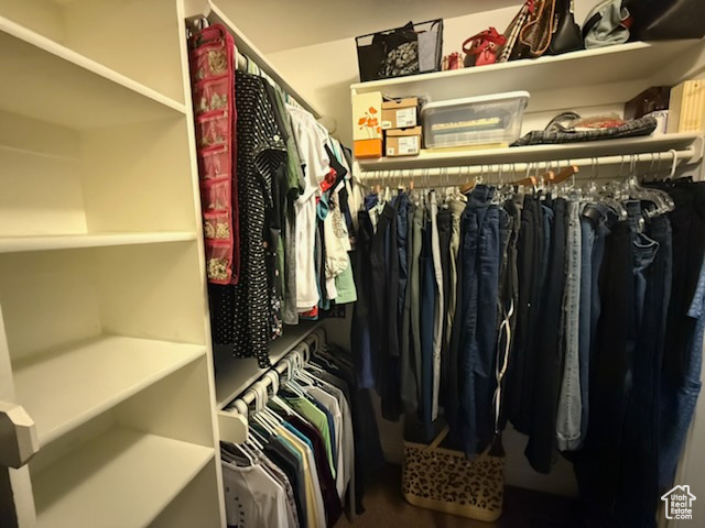 View of walk in closet
