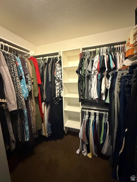 Walk in closet featuring carpet flooring