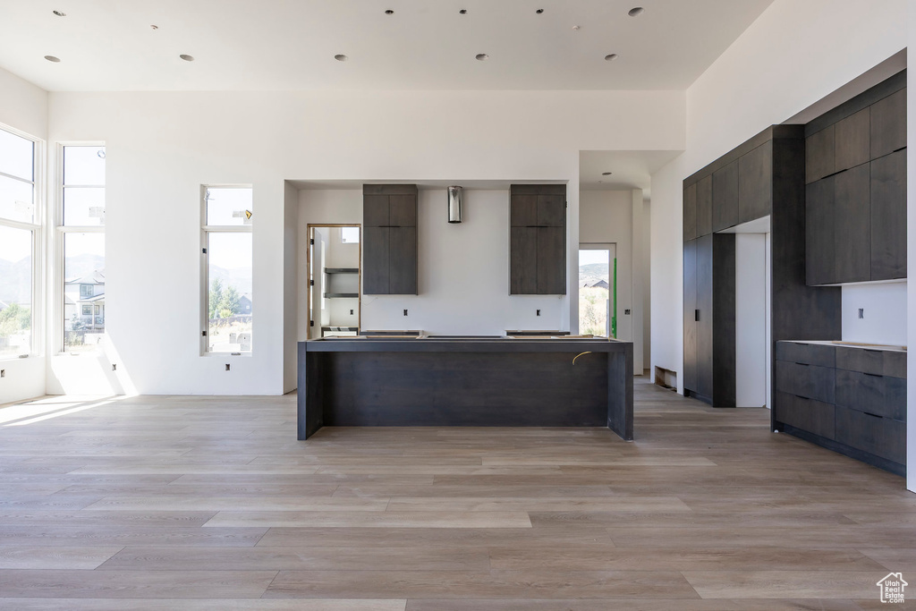 Kitchen featuring modern cabinets, a kitchen island, light wood-style floors, and dark brown cabinetry