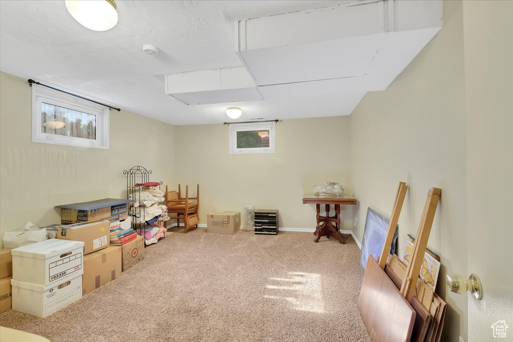 Basement with carpet flooring