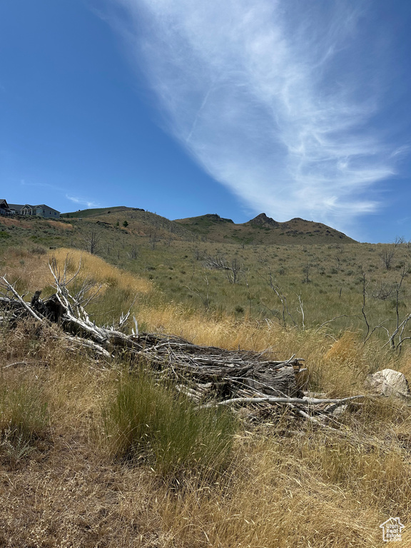 View of mountain backdrop