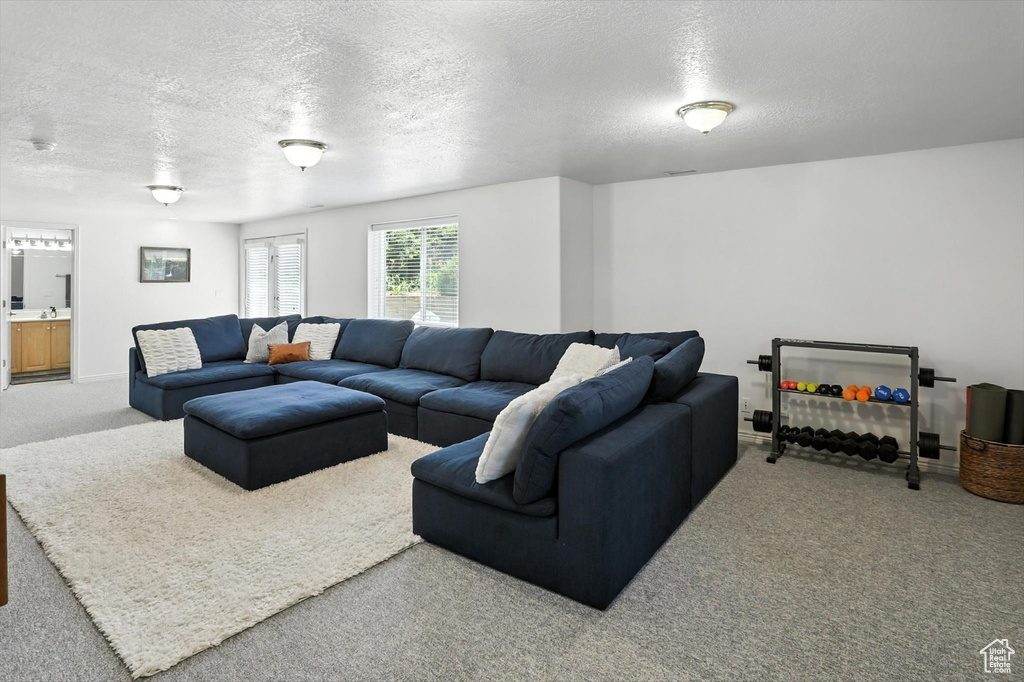 Living room with a textured ceiling and carpet floors