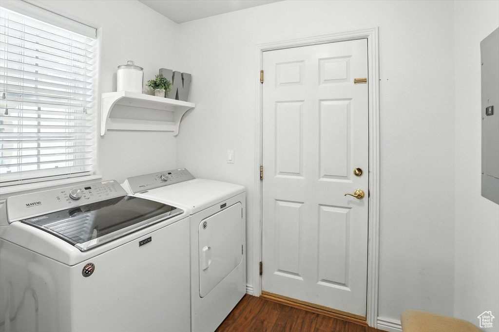 Laundry area featuring washer and dryer, dark wood finished floors, and plenty of natural light