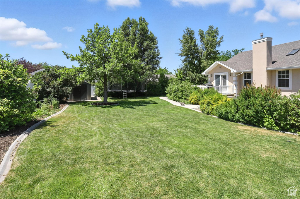 View of green lawn with a trampoline and a storage shed