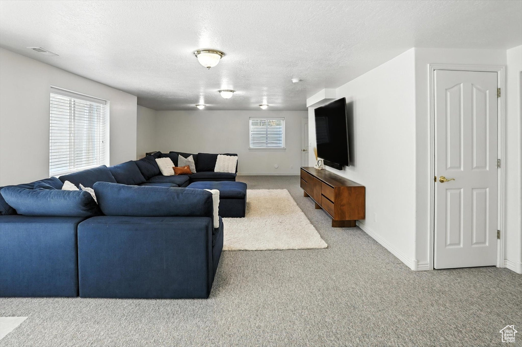 Carpeted living area featuring baseboards and a textured ceiling