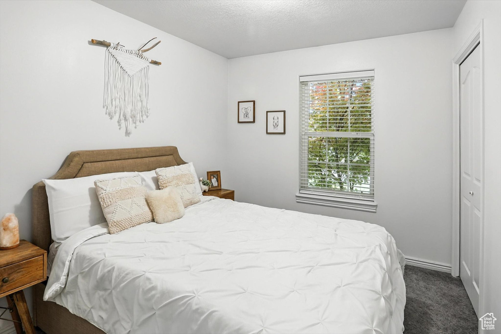 Bedroom featuring carpet floors