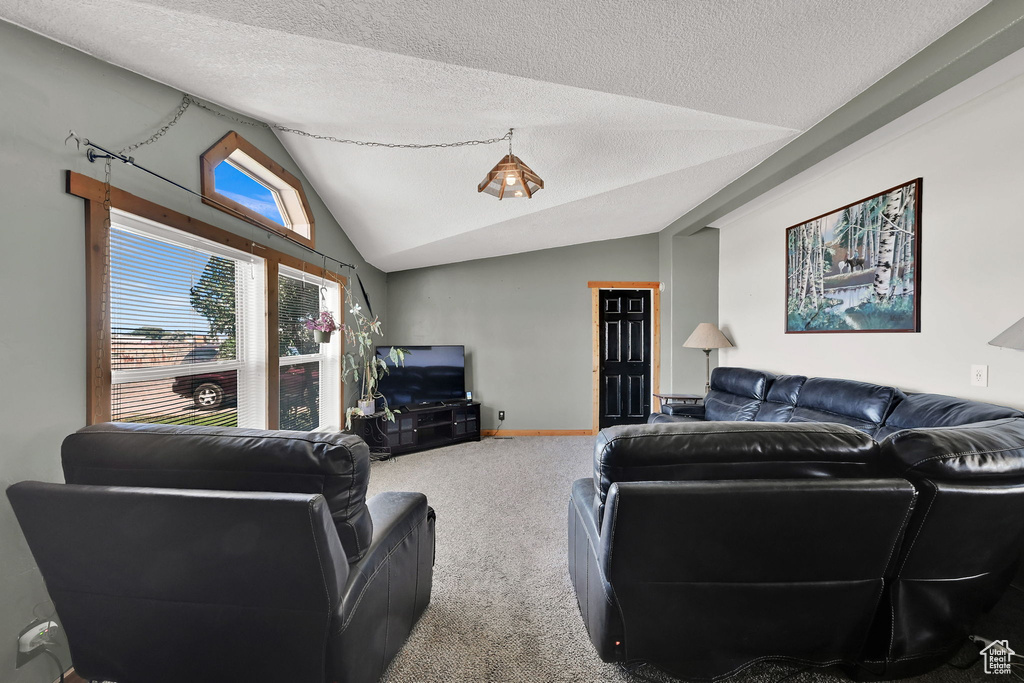 Carpeted living area with lofted ceiling and a textured ceiling