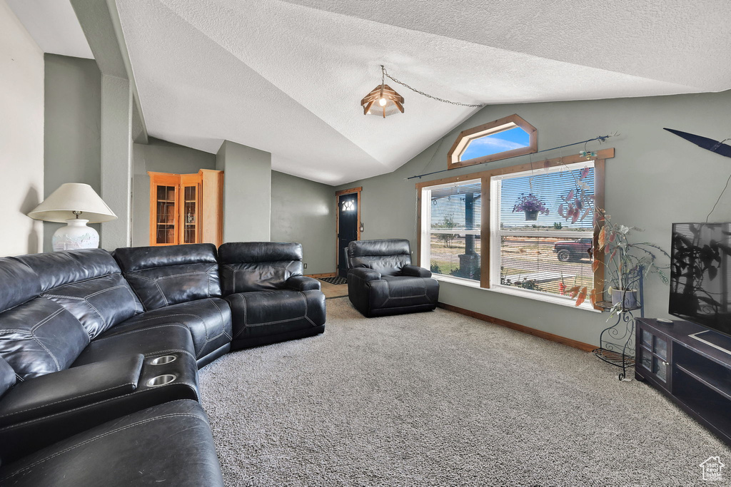 Living room with vaulted ceiling, carpet, and a textured ceiling