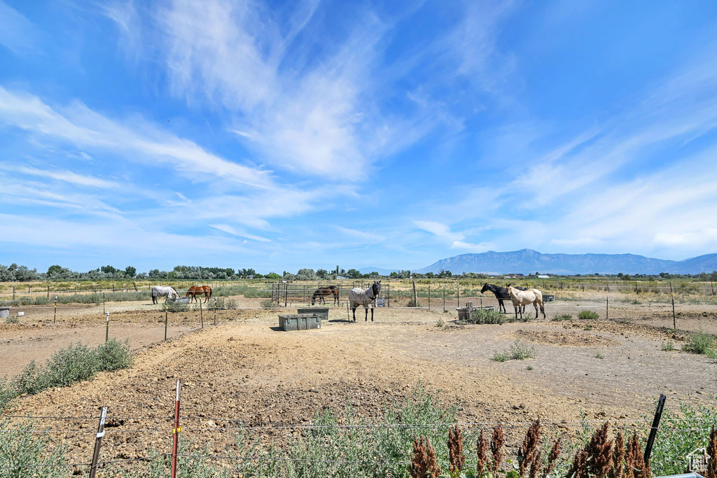 View of yard with a rural view and a mountain view