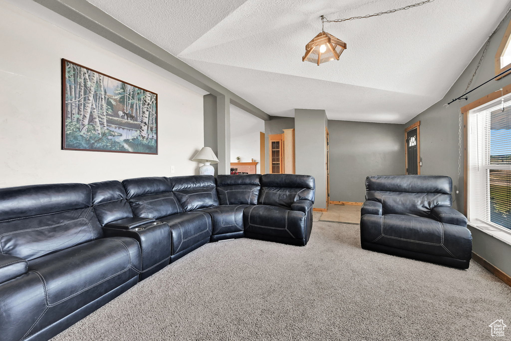 Carpeted living area featuring lofted ceiling and a textured ceiling