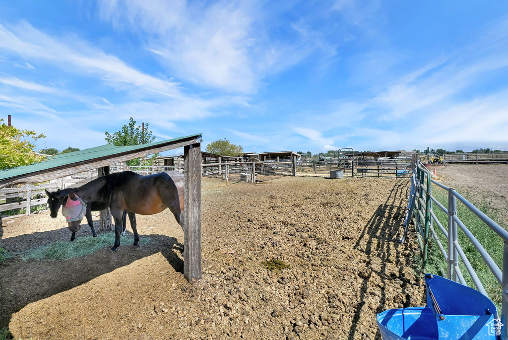 View of horse barn