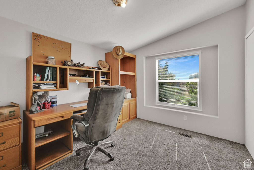 Office space featuring light colored carpet, vaulted ceiling, and a textured ceiling