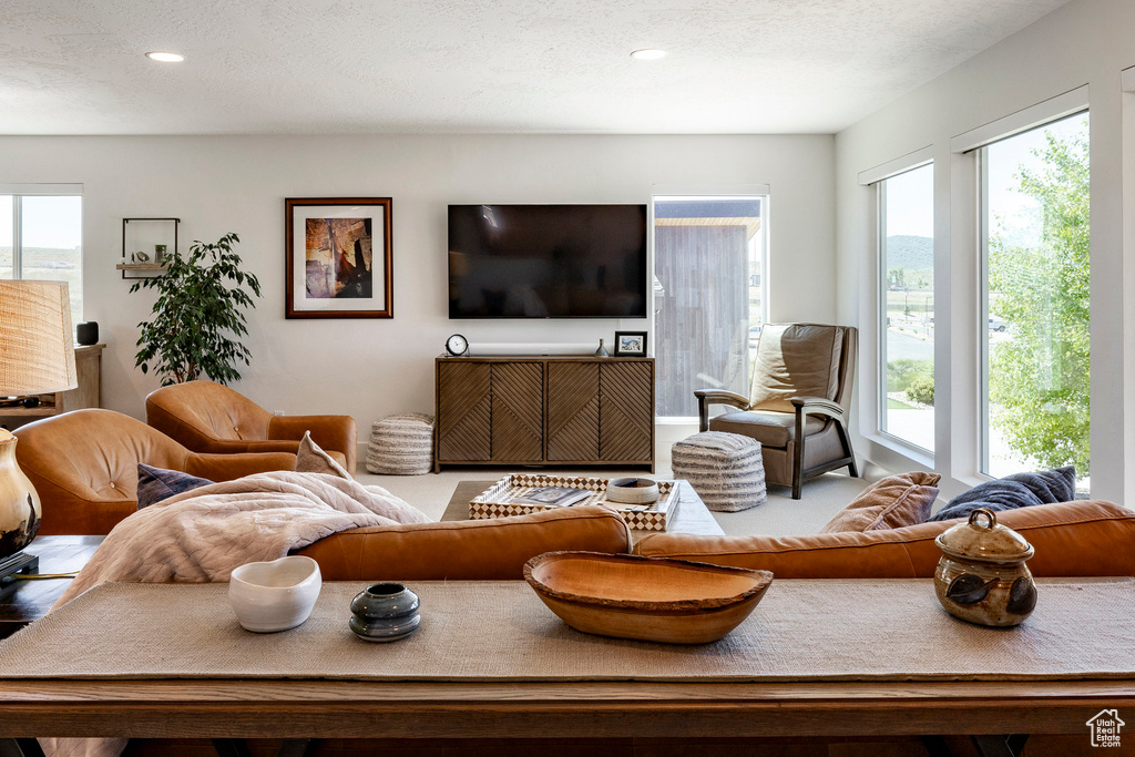 Living room featuring recessed lighting