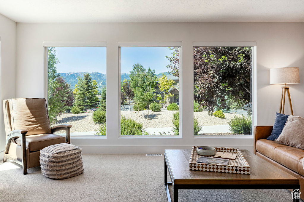 Living area featuring carpet and a mountain view