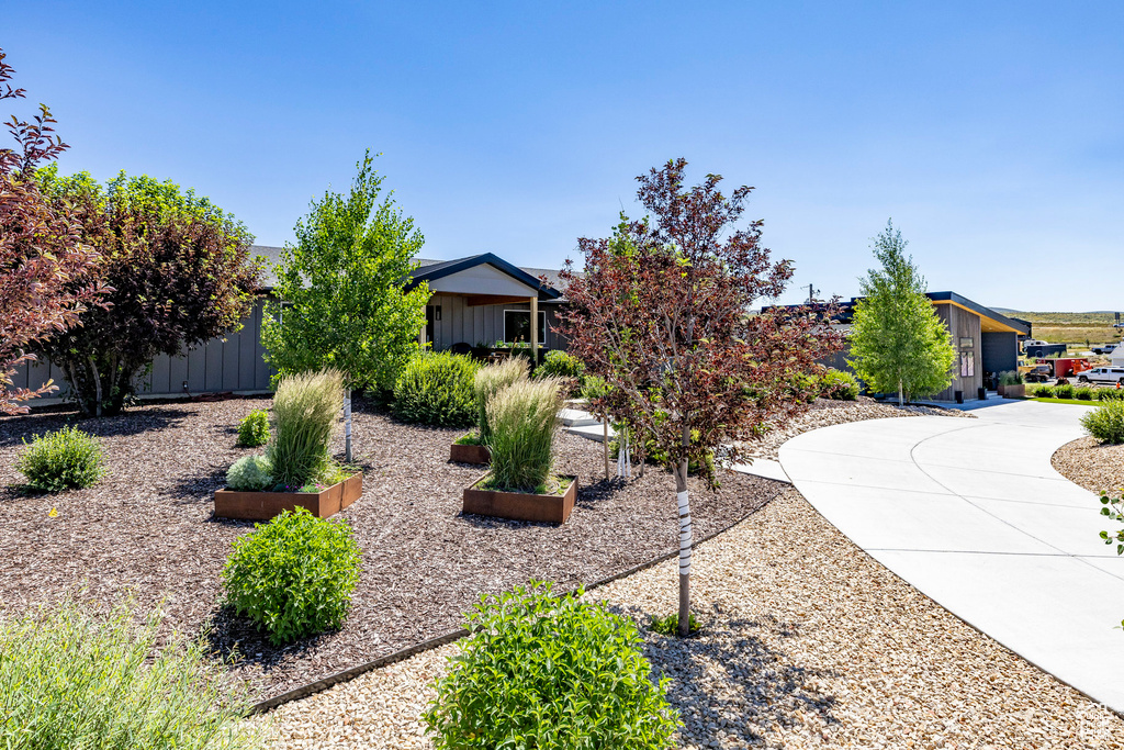 View of front of property featuring board and batten siding and curved driveway