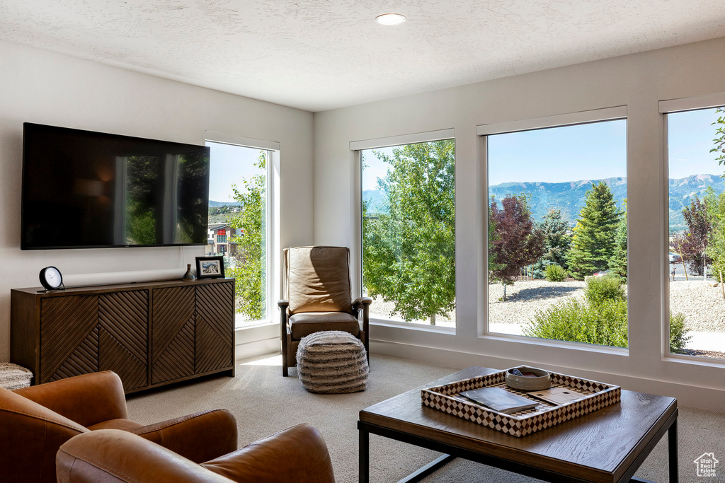 Living room featuring carpet flooring and a mountain view