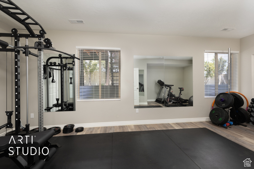 Workout room featuring wood finished floors and healthy amount of natural light