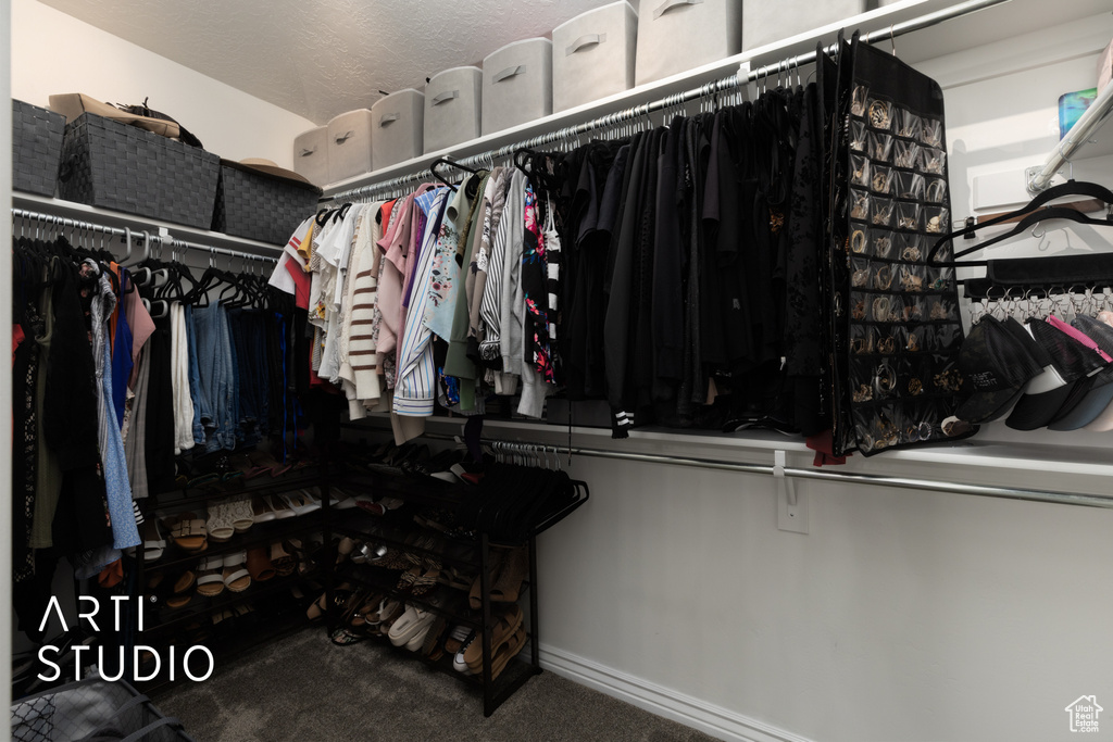 Spacious closet with carpet flooring