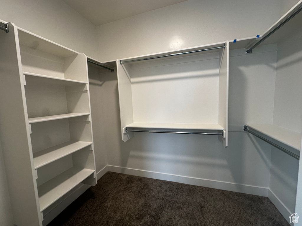 Walk in closet featuring dark carpet