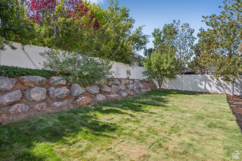 View of fenced backyard