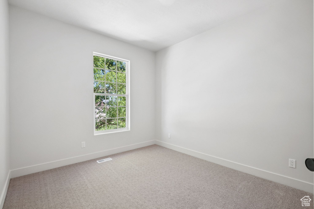 Spare room featuring plenty of natural light and light colored carpet