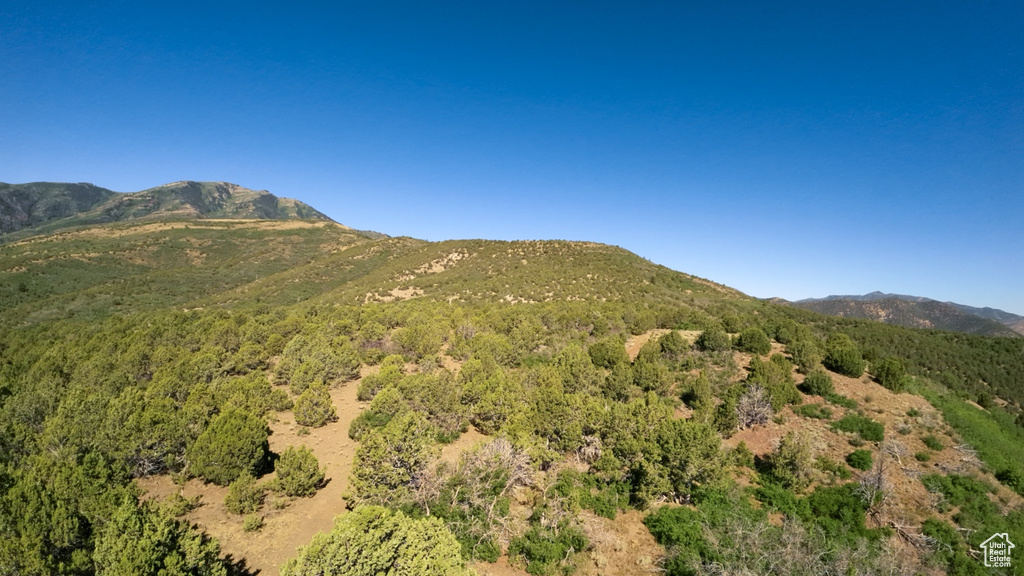 View of mountain background with a forest