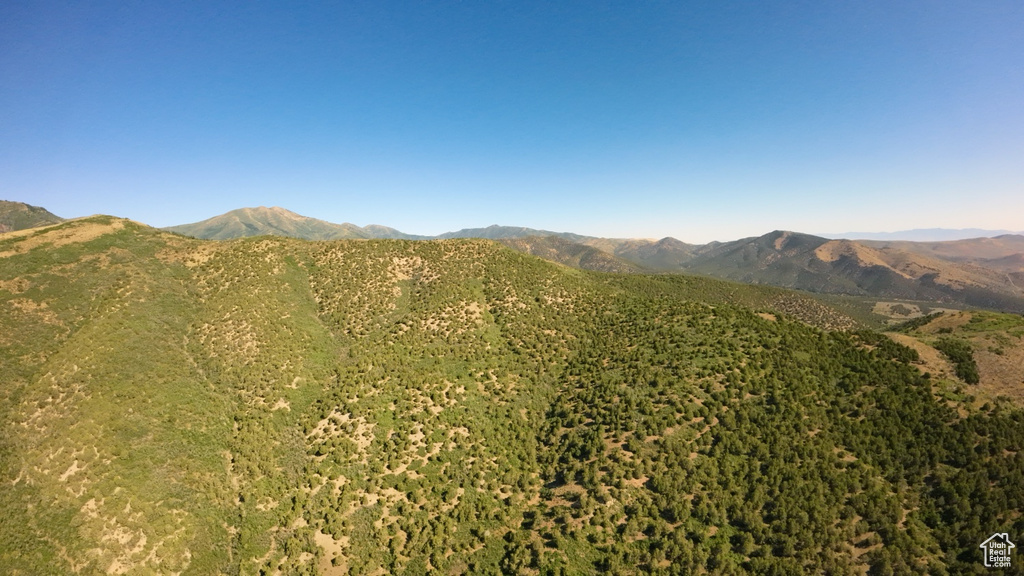 View of mountain background