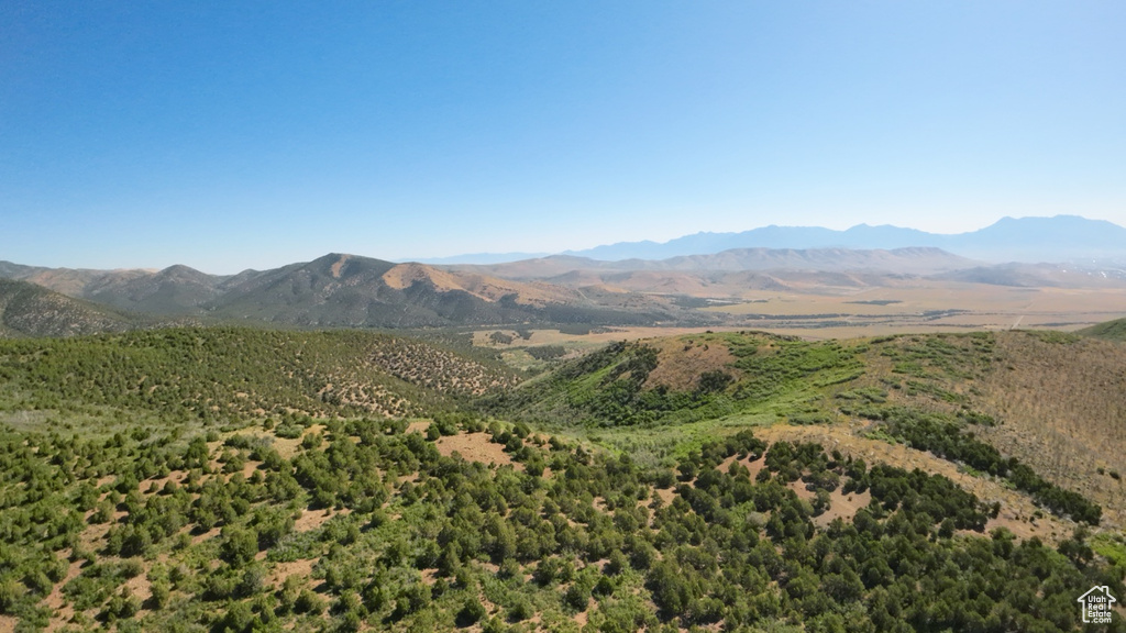 View of mountain background