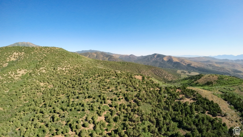 View of mountain background