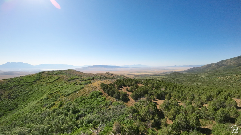 Mountain view featuring a heavily wooded area