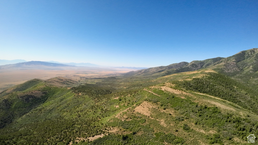 View of mountain background