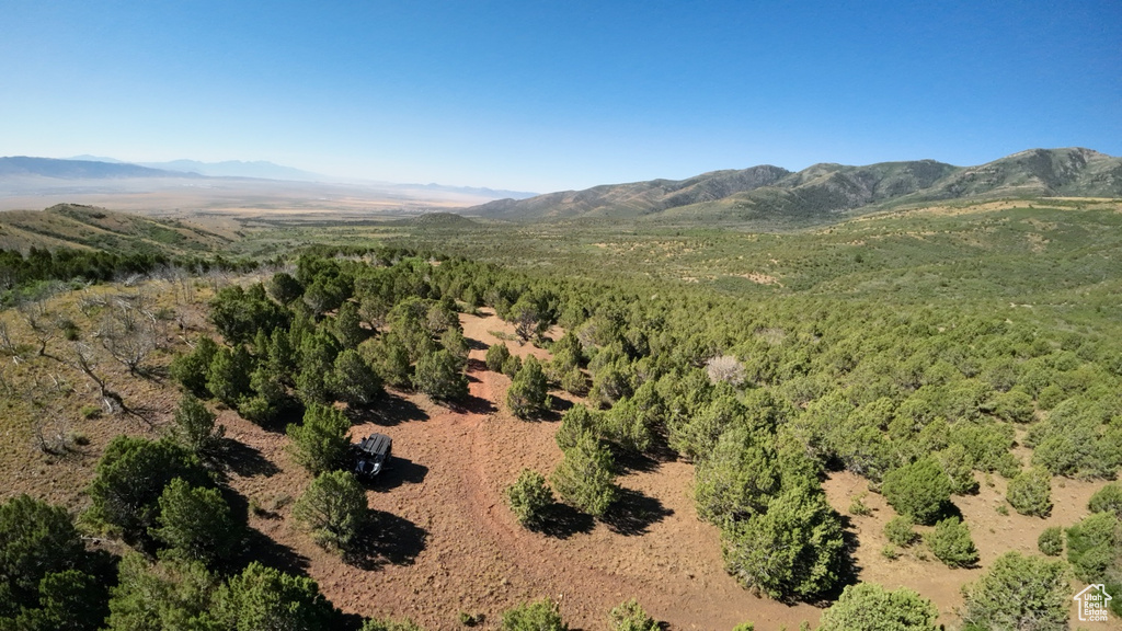 Mountain view featuring a heavily wooded area