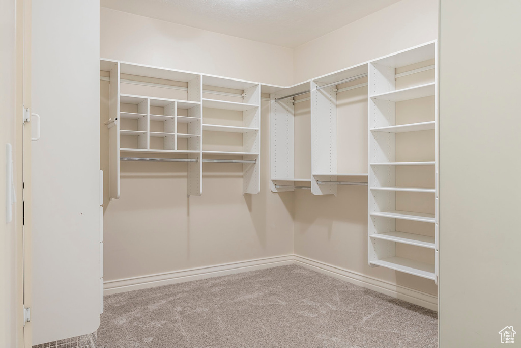 Walk in closet featuring carpet flooring