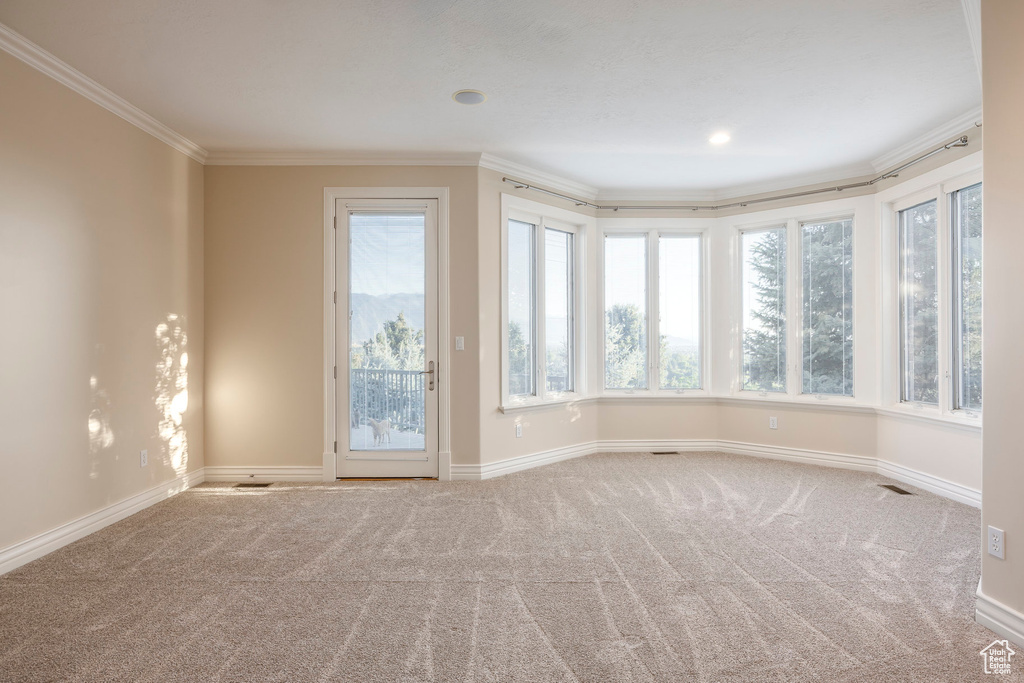 Unfurnished room with ornamental molding, carpet flooring, and plenty of natural light