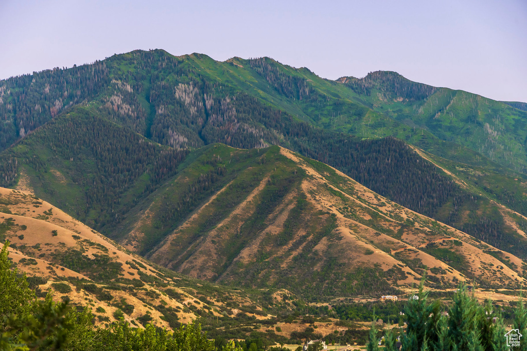 View of mountain background
