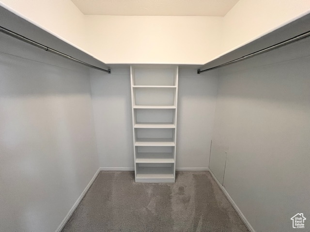 Walk in closet with carpet flooring