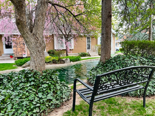 View of home\'s community featuring entry steps