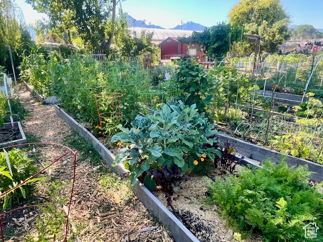 View of yard featuring a garden and a mountain view