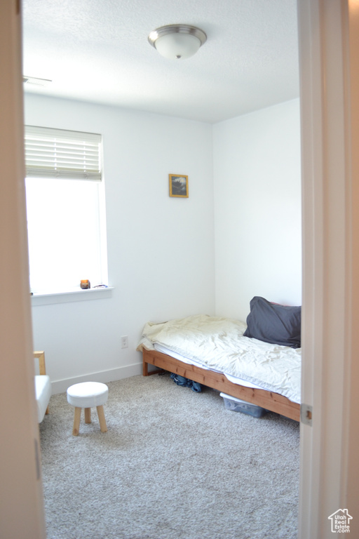 Carpeted bedroom with baseboards