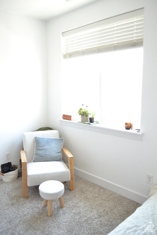 Sitting room featuring carpet and baseboards