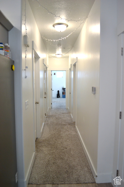Hall featuring carpet flooring and a textured ceiling