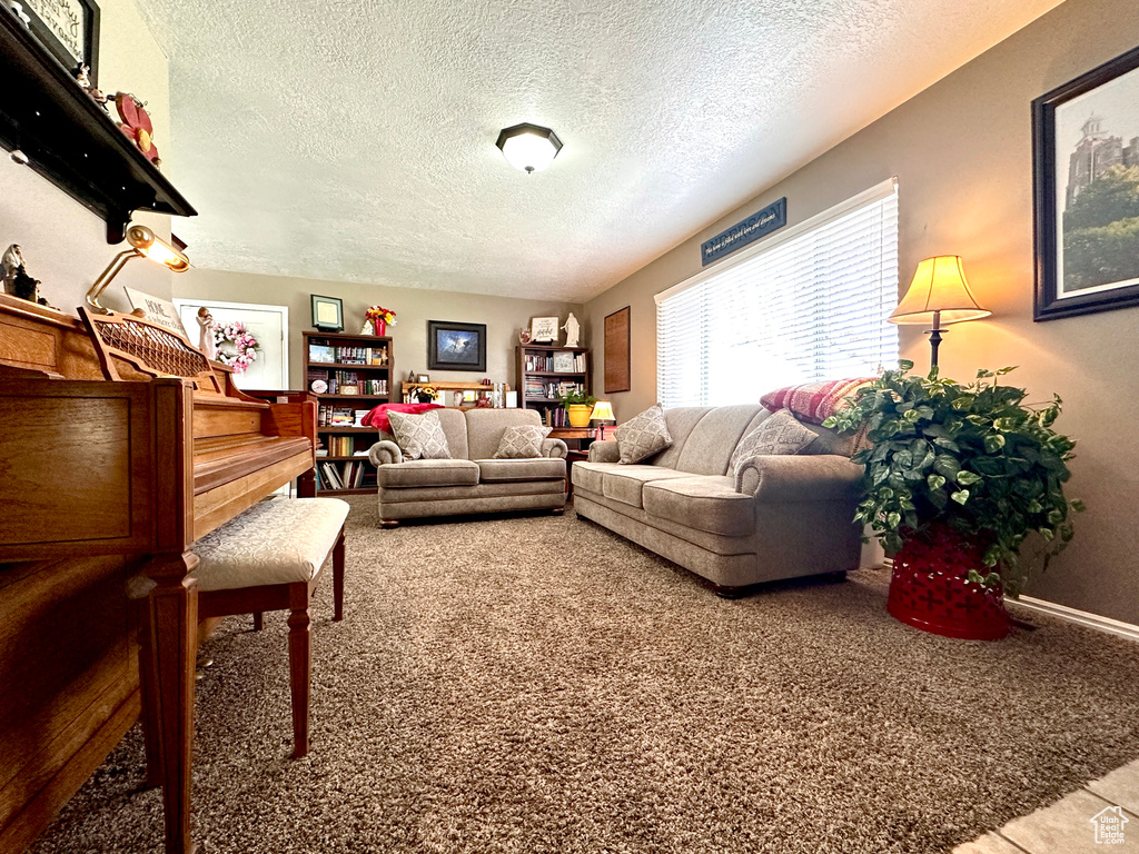 Carpeted living room featuring a textured ceiling and baseboards