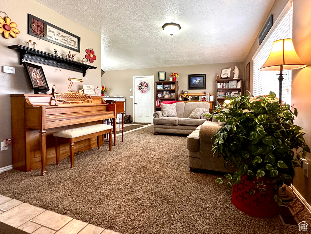 Living room featuring a textured ceiling and carpet