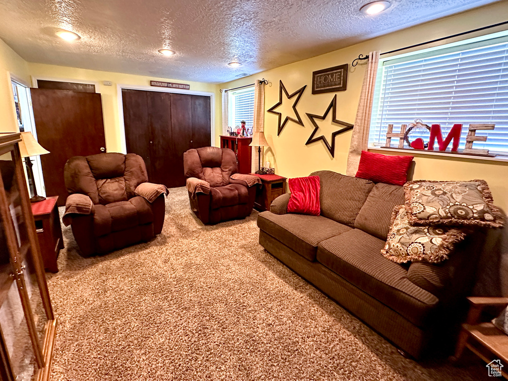 Carpeted living room featuring a textured ceiling